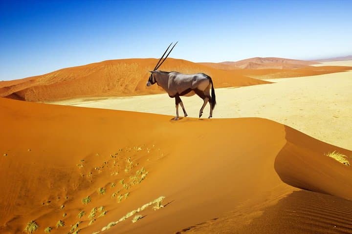 16-Day Namibia Highlights: Sossusvlei, Etosha & Himba Cultural Encounters photo 4