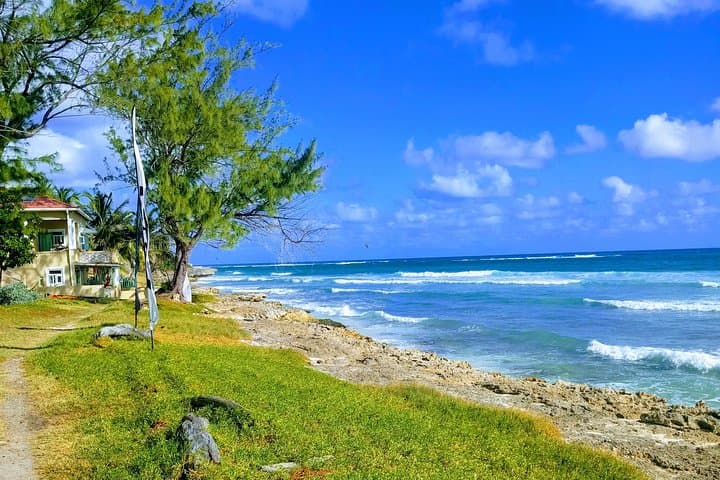 East Coast Barbados Hiking Tour: Ragged Point, Conset Bay & Coastal Cliffs photo 5