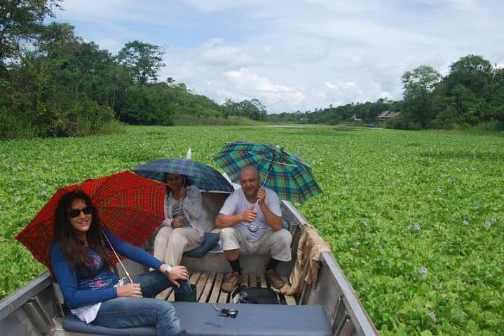 4-Day Amazon Jungle Adventure from Iquitos: Boats, Hikes & Wildlife photo 3