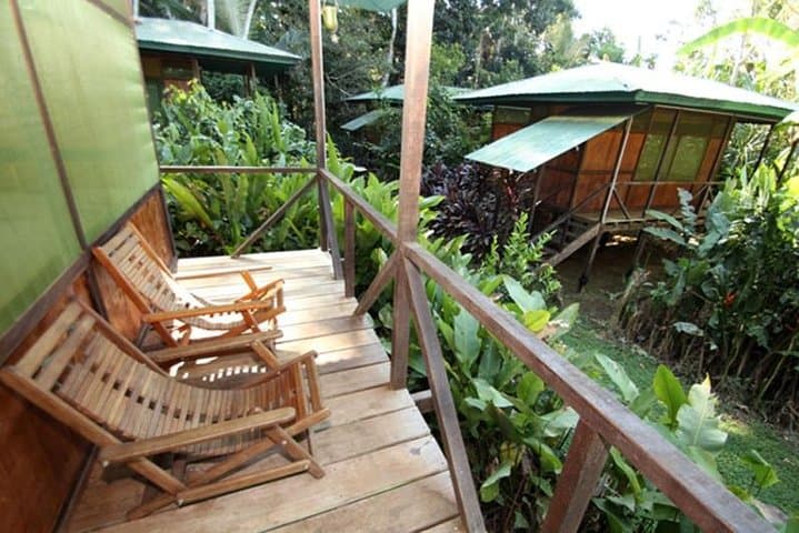 3-Day Amazon Eco-Lodge Adventure from Puerto Maldonado photo 4