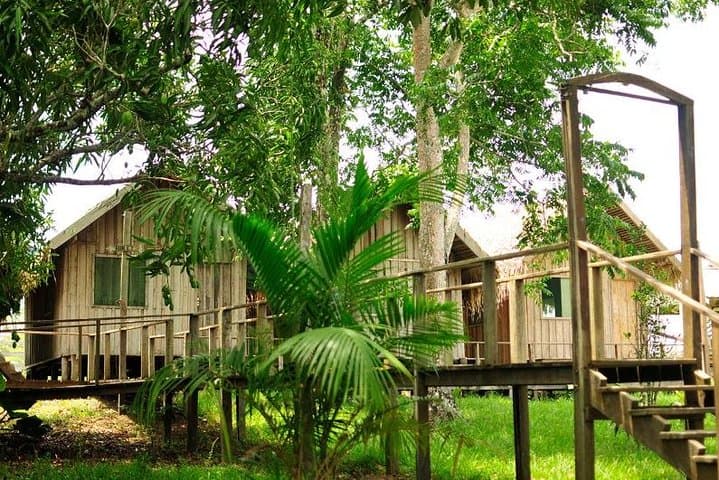 3-Day Manaus Amazon Jungle Adventure: Lodge Stays, Wildlife & Caboclo Culture photo 3