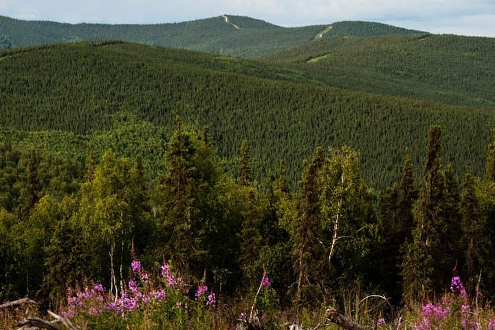 Fairbanks Evening Side-by-Side ATV Tour — 32-Mile Guided Ride photo 3