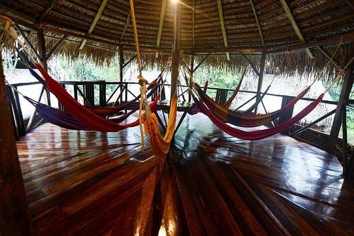 5-Day Cuyabeno Amazon Eco-Lodge Adventure — Canoes, Wildlife & Community Visits photo 3