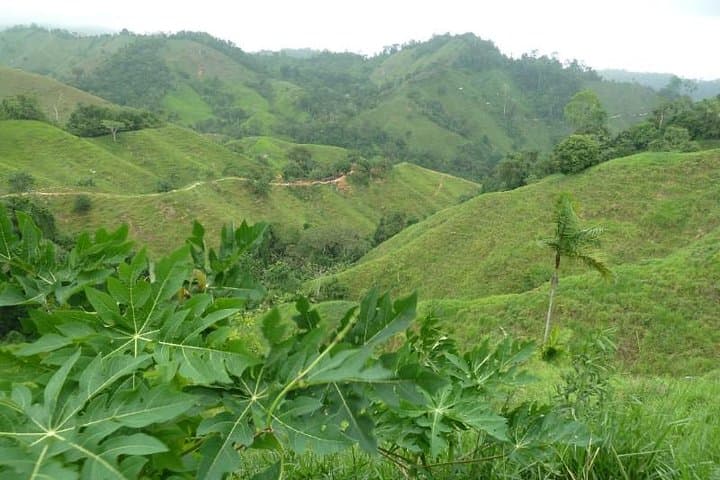 Lost City Trek: 4-Day Tayrona Jungle Hike from Santa Marta photo 3