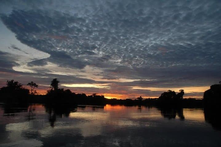 5-Day Madidi & Pampas Amazon Jungle Adventure from La Paz photo 3