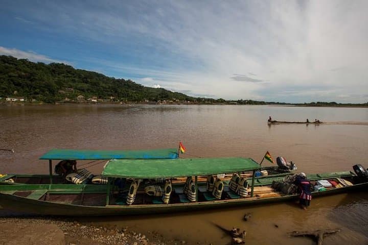5-Day Madidi & Pampas Amazon Jungle Adventure from La Paz photo 5