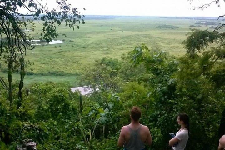 6-Day Pantanal and Bonito Wildlife Expedition: Pantanal Lodge, Boat Safaris & Bonito Highlights photo 6