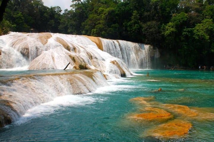 Palenque Ruins, Agua Azul & Misol-Ha: Full-Day Ruins and Waterfalls from San Cristobal photo 6