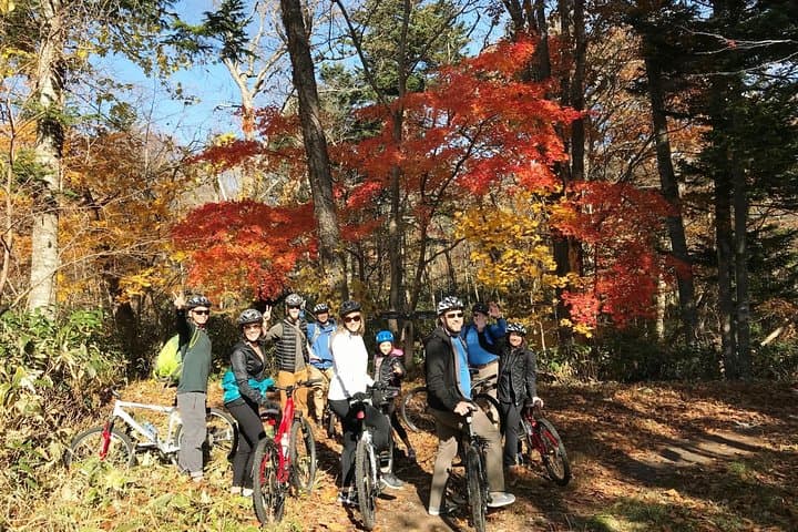 Nopporo Forest Mountain Bike Tour from Sapporo: Easy 10 km Ride Through Hokkaido Wilds