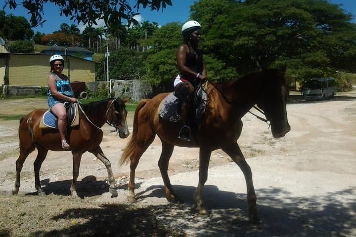 Montego Bay to Dunn's River Falls: Horseback & Waterfall Adventure