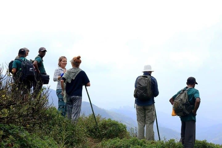 Overnight Camping & Waterfall Trek in Sri Lanka's Knuckles Range photo 3