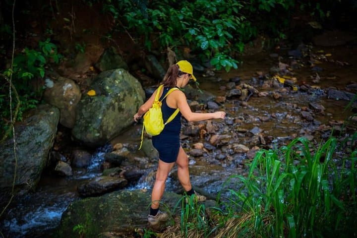 Overnight Tea Plantation Adventure at Simpson's Forest near Kandy photo 5