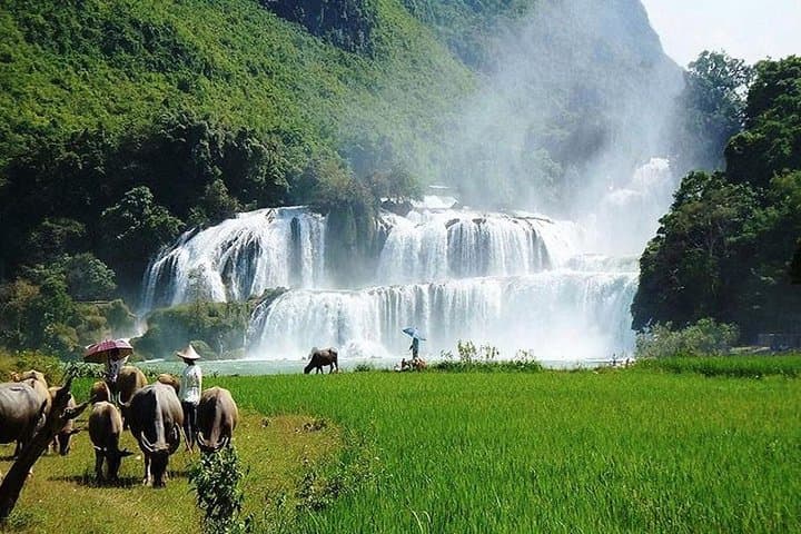 Ban Gioc Waterfall 3-Day Trip from Hanoi: Waterfalls, Caves & Camping photo 5