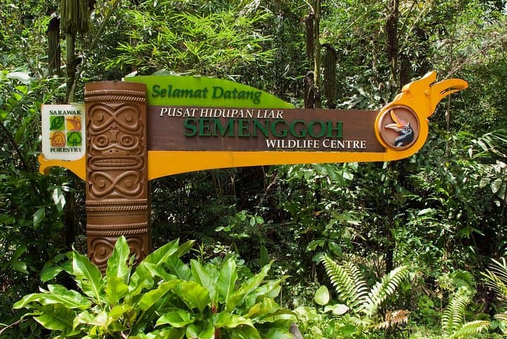 Semenggoh Orangutan Sanctuary Tour: See Semi‑Wild Orangutans Near Kuching