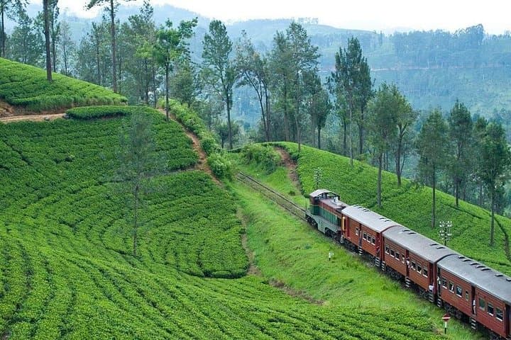 Adisham Bungalow Rail Tour: Ella & Bandarawela Full-Day Heritage Journey photo 4
