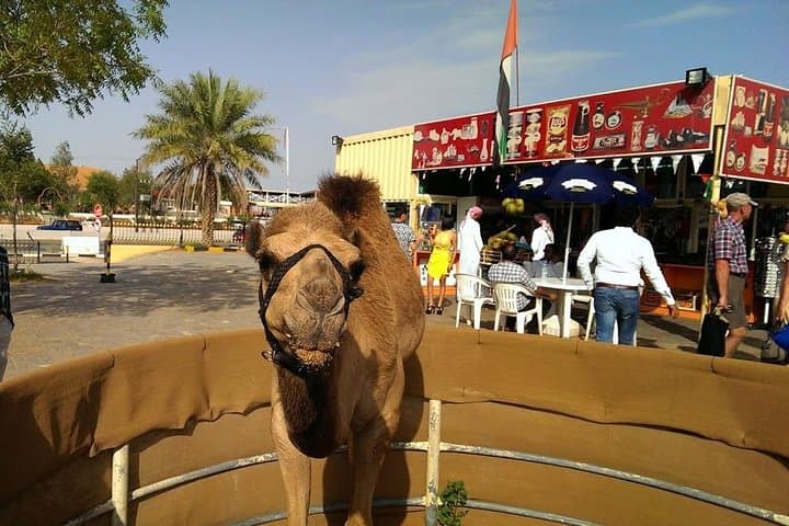 Desert Quad Safari and Ferrari World Abu Dhabi — 2-Day Adventure from Dubai photo 3