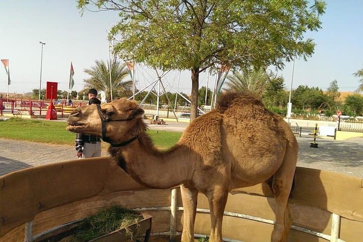 Desert Quad Safari and Ferrari World Abu Dhabi — 2-Day Adventure from Dubai photo 5