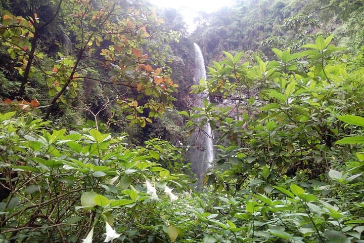 Mambori Waterfalls Day Hike: Kilimanjaro Foothills Forest Walk from Moshi photo 2
