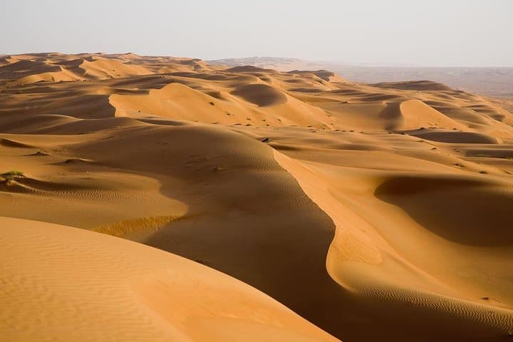 Morning Dubai Desert Safari: Dune Bashing, Sandboarding & Camel Riding photo 3