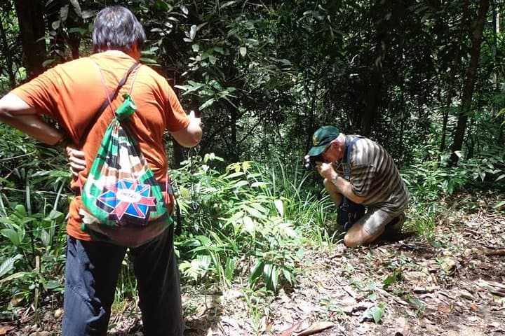 Guided Nature Trail to Kanneliya Forest from Galle — Kabbale Peak & Anagimale Falls Trek photo 5