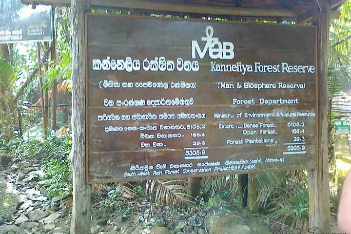 Guided Nature Trail to Kanneliya Forest from Galle — Kabbale Peak & Anagimale Falls Trek photo 6