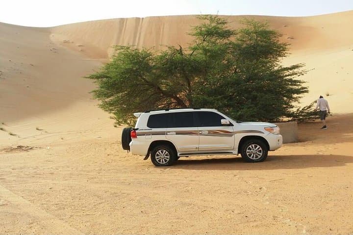 Liwa Full-Day Desert Safari from Abu Dhabi — Dune Bashing & Oasis Lunch photo 2