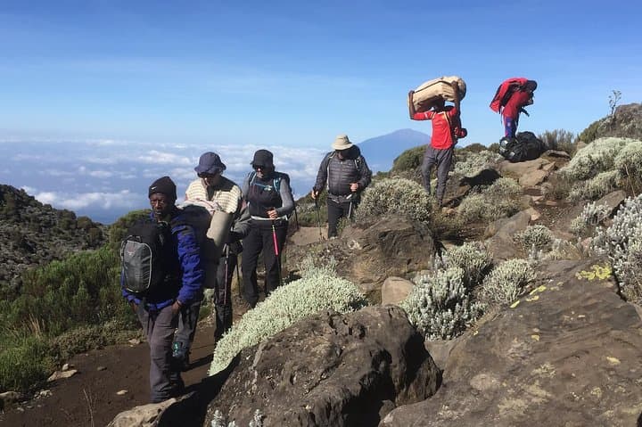 7-Day Lemosho Route on Kilimanjaro: West-Flank Trek with Strong Acclimatization