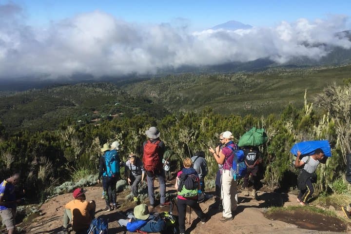 7-Day Lemosho Route on Kilimanjaro: West-Flank Trek with Strong Acclimatization photo 2