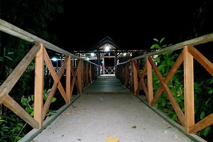 Bintan Fireflies Discovery Tour: Night Mangrove Cruise on the Sebong River photo 2