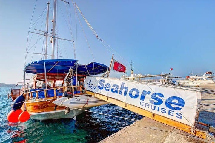Gozo Blue Lagoon & Sea Caves: Full-Day Cruise from Bugibba photo 2