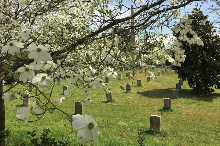 Private Atlanta History Tour: Civil War to Civil Rights Walking and Driving Experience photo 4