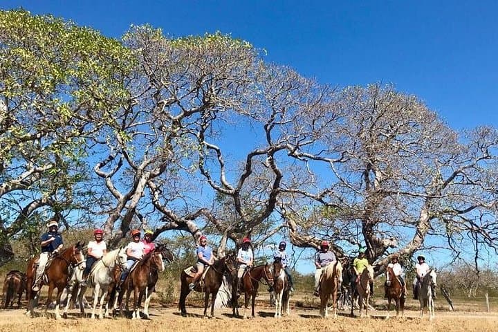 Private Horseback Ride Through Papagayo Dry Forest — Pura Vida Farm Ride photo 2