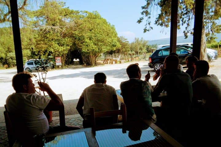 Arrábida Day Trip from Lisbon: Beaches, Castles & Setúbal Wine Tasting photo 3