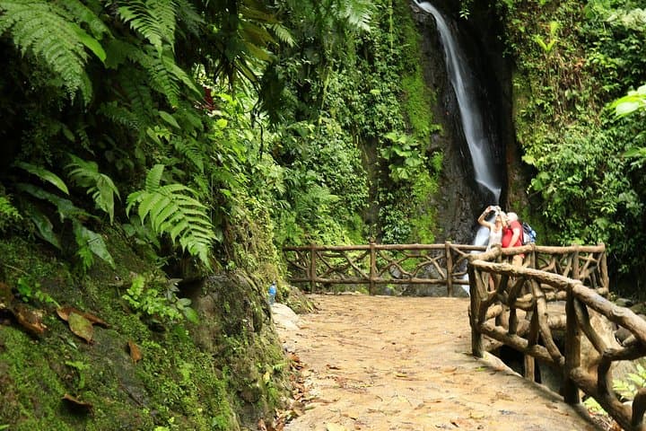 Hanging Bridges and La Fortuna Waterfall: Mistico Park, Arenal Views & Farm Lunch photo 6