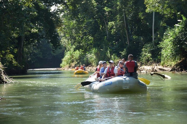 Peñas Blancas River Safari Float — Wildlife Cruise from La Fortuna photo 4