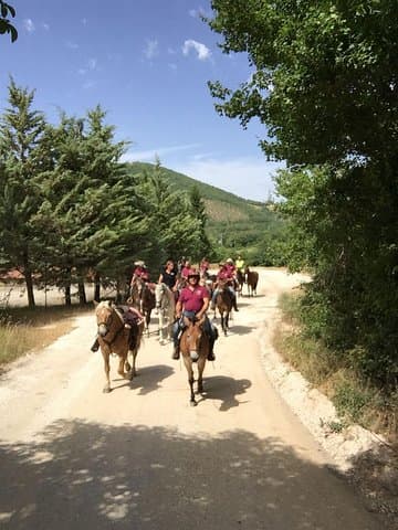Horseback Riding in Umbria: Countryside Trail Ride with Local Lunch photo 5