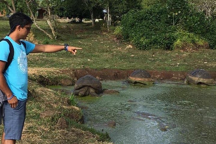 5-Day Galapagos Island Hopping: Santa Cruz, Isabela & Tintoreras Wildlife Tour photo 3