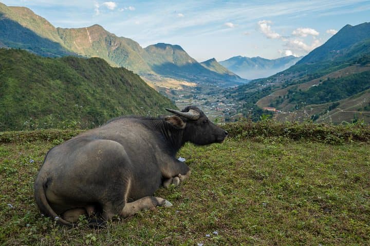 Sapa 3-Day Trek: Homestays, Rice Terraces & H'mong Culture photo 4