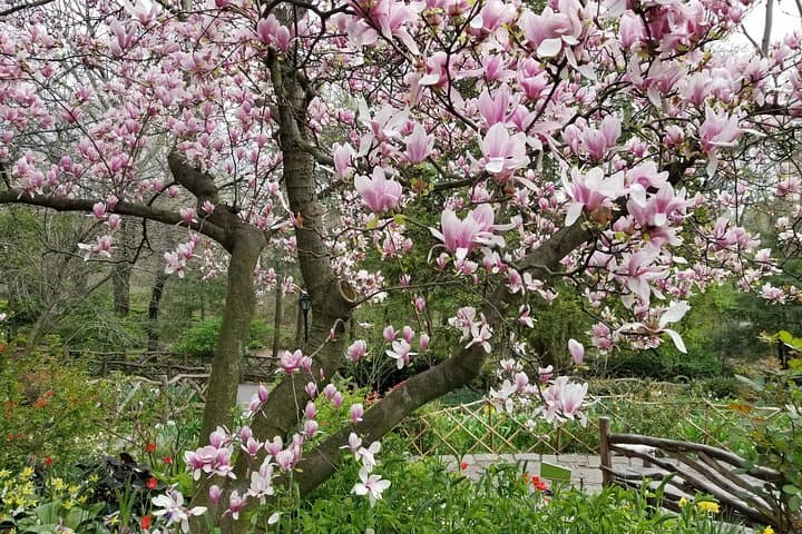 Central Park Secrets and Highlights: Guided Southern Park Walking Tour photo 6