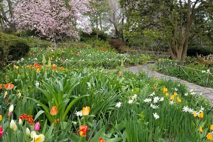 Central Park Secrets and Highlights: Guided Southern Park Walking Tour photo 5