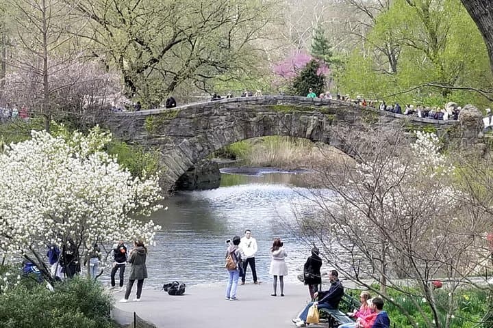 Central Park Secrets and Highlights: Guided Southern Park Walking Tour