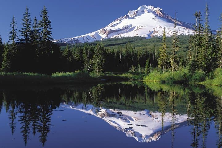 Columbia River Gorge Waterfalls and Mt. Hood Full-Day Tour from Portland