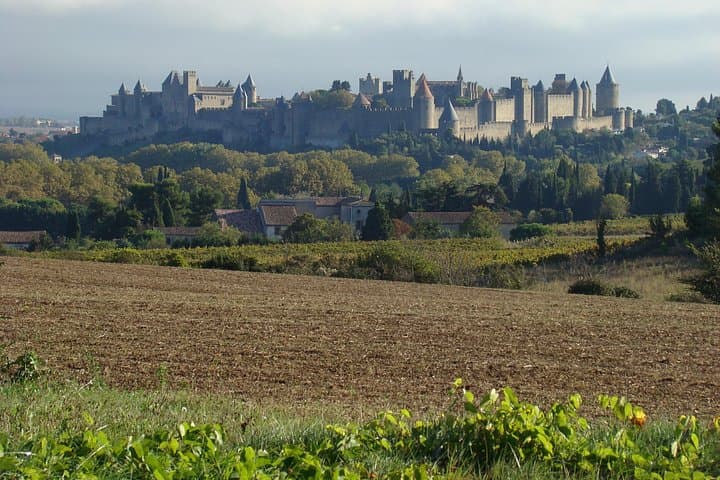 Carcassonne & Albi Private Day Tour from Toulouse — Medieval Citadels and Toulouse‑Lautrec