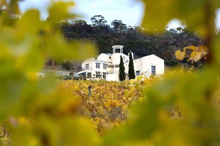StelaVino Guided Wine Tours from Hobart: Derwent, Coal River & Huon Valley Day Trip photo 3