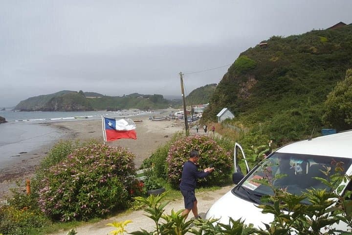 Chiloé Island Puñihuil Penguin Tour — See Humboldt & Magellanic Colonies photo 2