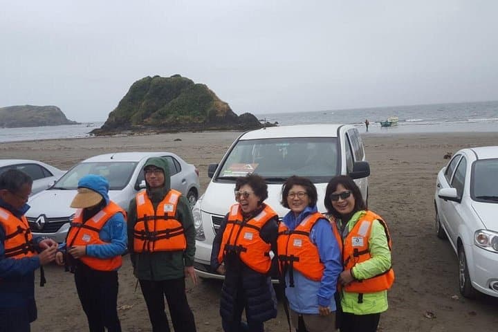 Chiloé Island Puñihuil Penguin Tour — See Humboldt & Magellanic Colonies photo 4