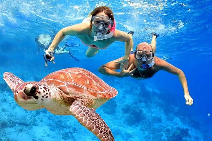 Snorkel Amed Bali: Black-Sand Reefs with Mount Agung Views photo 6