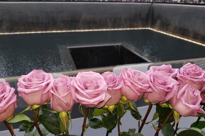 Walking the 9/11 Memorial & Financial District: Ground Zero to Wall Street Tour photo 5