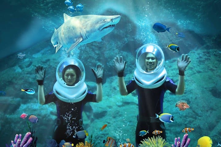 SEA LIFE & Madame Tussauds Bangkok: Ultimate Combo Ticket Guide photo 4