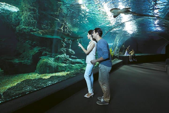 SEA LIFE & Madame Tussauds Bangkok: Ultimate Combo Ticket Guide photo 5